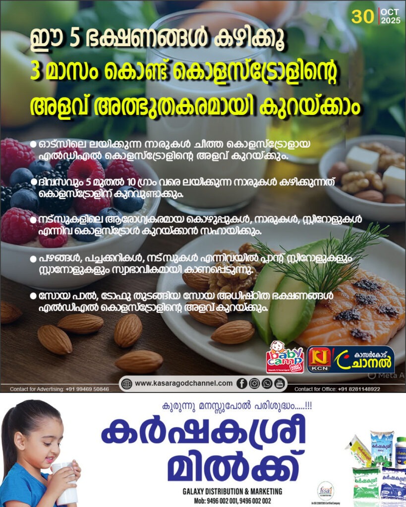 ഈ 5 ഭക്ഷണങ്ങള്‍ കഴിക്കൂ; 3 മാസം കൊണ്ട് കൊളസ്ട്രോളിന്റെ അളവ് അത്ഭുതകരമായി കുറയ്ക്കാം