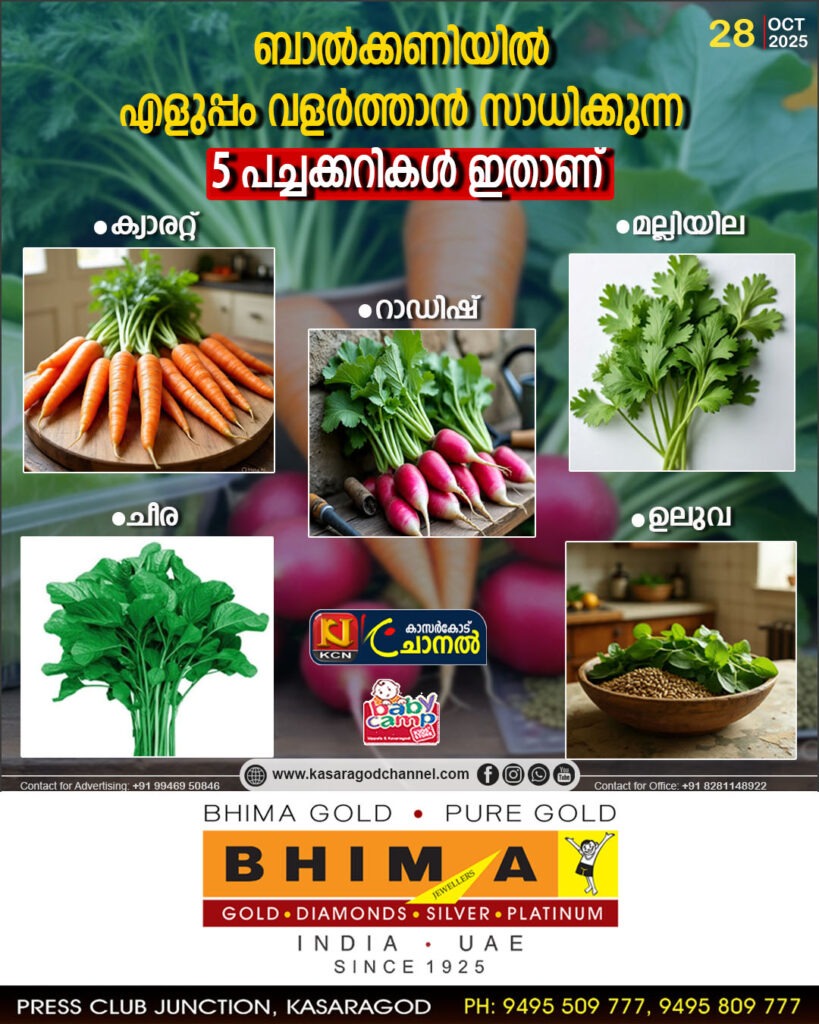 ബാല്‍ക്കണിയില്‍ എളുപ്പം വളര്‍ത്താന്‍ സാധിക്കുന്ന 5 പച്ചക്കറികള്‍ ഇതാണ്
