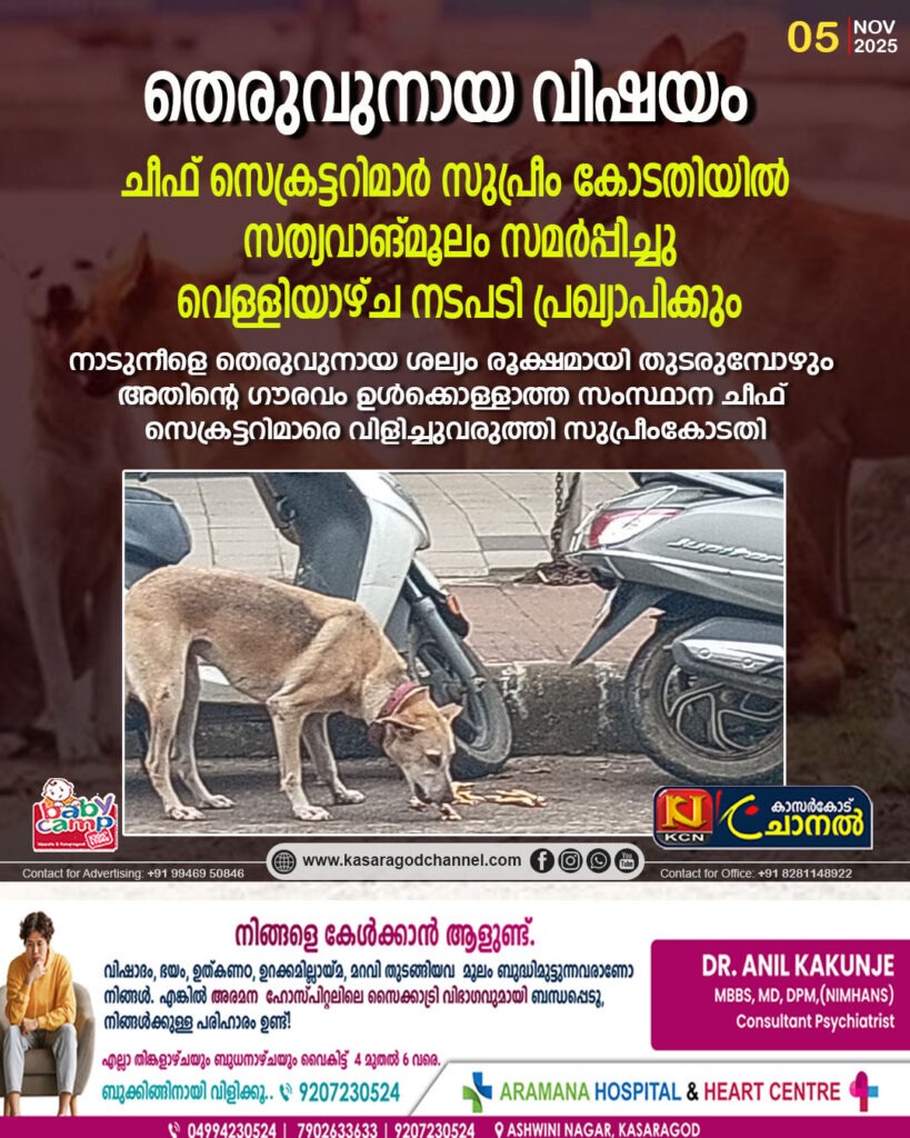 തെരുവുനായ വിഷയം, ചീഫ് സെക്രട്ടറിമാര്‍ സുപ്രീം കോടതിയില്‍ സത്യവാങ്മൂലം സമര്‍പ്പിച്ചു, വെള്ളിയാഴ്ച നടപടി പ്രഖ്യാപിക്കും